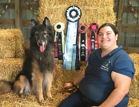 Natalie light dog behaviourist cheap